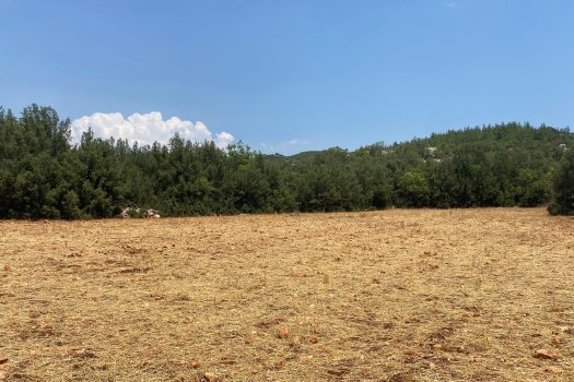 ANTALYA KAŞ ÇERLER MAH. 19.905 M2 SATILIK TARLA