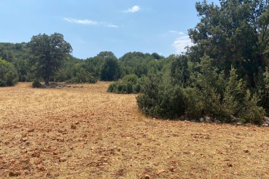ANTALYA KAŞ ÇERLER MAH. 19.905 M2 SATILIK TARLA