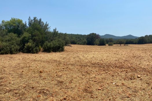 ANTALYA KAŞ ÇERLER MAH. 19.905 M2 SATILIK TARLA