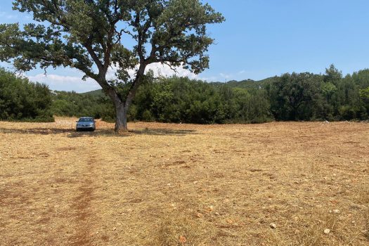 ANTALYA KAŞ ÇERLER MAH. 19.905 M2 SATILIK TARLA
