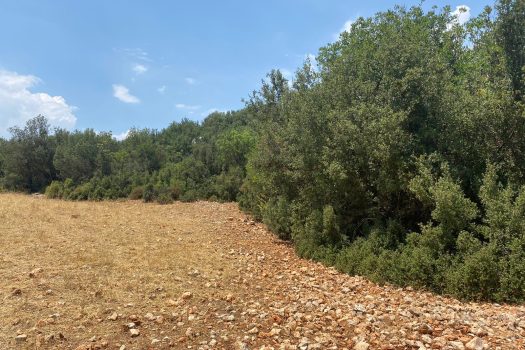 ANTALYA KAŞ ÇERLER MAH. 19.905 M2 SATILIK TARLA