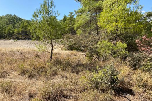 ANTALYA KAŞ ÇEŞME MH.3.500 M2 SATILIK TARLA