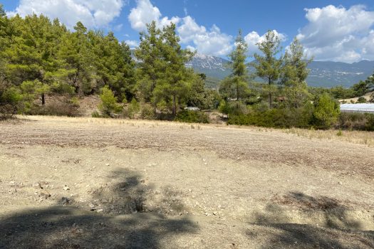 ANTALYA KAŞ ÇEŞME MH.3.500 M2 SATILIK TARLA