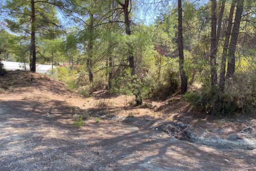 ANTALYA KAŞ ÇEŞME MH.3.500 M2 SATILIK TARLA