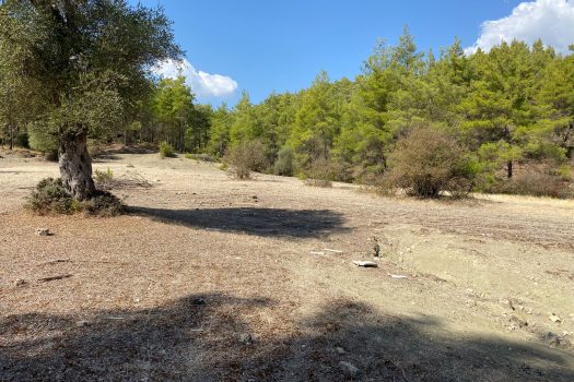 ANTALYA KAŞ ÇEŞME MH.3.500 M2 SATILIK TARLA