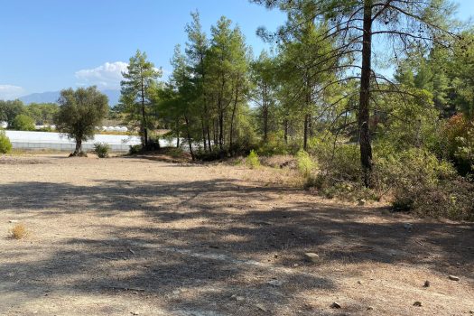 ANTALYA KAŞ ÇEŞME MH.3.500 M2 SATILIK TARLA