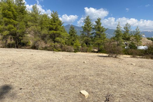 ANTALYA KAŞ ÇEŞME MH.3.500 M2 SATILIK TARLA
