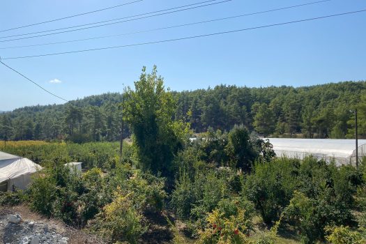 ANTALYA KAŞ ÇEŞME MH.3.500 M2 SATILIK TARLA