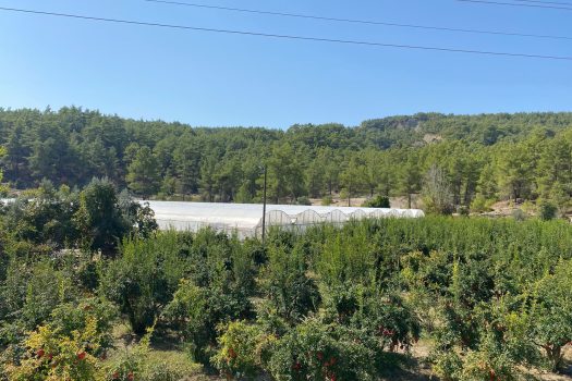 ANTALYA KAŞ ÇEŞME MH.3.500 M2 SATILIK TARLA