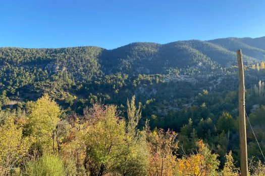 ANTALYA KAŞ BELDİBİ MH. 3.735 M2 SATILIK TARLA