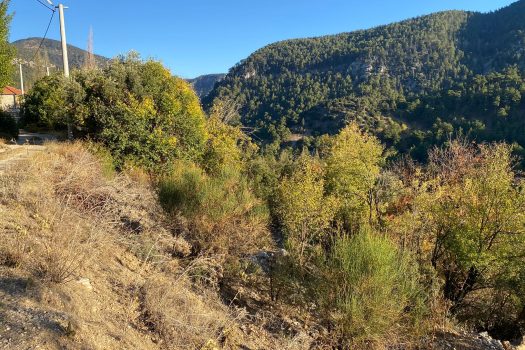 ANTALYA KAŞ BELDİBİ MH. 3.735 M2 SATILIK TARLA
