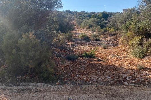 ANTALYA KAŞ BAYINDIR MAH. 8.000 M2 SATILIK TARLA