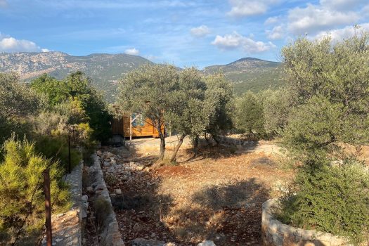 ANTALYA KAŞ BAYINDIR MAH. 8.000 M2 SATILIK TARLA