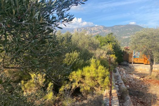 ANTALYA KAŞ BAYINDIR MAH. 8.000 M2 SATILIK TARLA