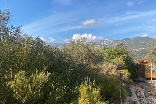 ANTALYA KAŞ BAYINDIR MAH. 8.000 M2 SATILIK TARLA