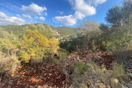ANTALYA KAŞ BAYINDIR MAH. 8.000 M2 SATILIK TARLA