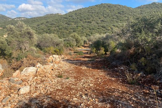 ANTALYA KAŞ BAYINDIR MAH. 8.000 M2 SATILIK TARLA