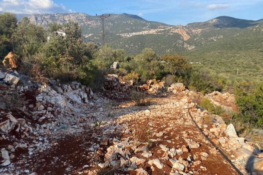 ANTALYA KAŞ BAYINDIR MAH. 8.000 M2 SATILIK TARLA