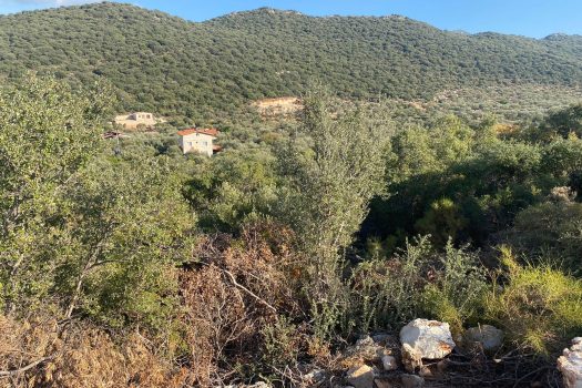 ANTALYA KAŞ BAYINDIR MAH. 8.000 M2 SATILIK TARLA