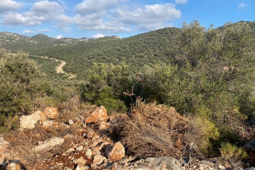 ANTALYA KAŞ BAYINDIR MAH. 8.000 M2 SATILIK TARLA
