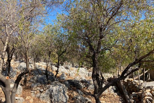 ANTALYA KAŞ BAYINDIR MAH. SATILIK ARSA