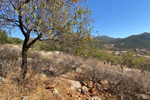 ANTALYA KAŞ BAYINDIR MAH. SATILIK ARSA