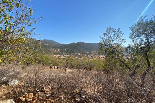 ANTALYA KAŞ BAYINDIR MAH. SATILIK ARSA